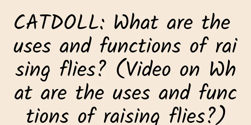 CATDOLL: What are the uses and functions of raising flies? (Video on What are the uses and functions of raising flies?)