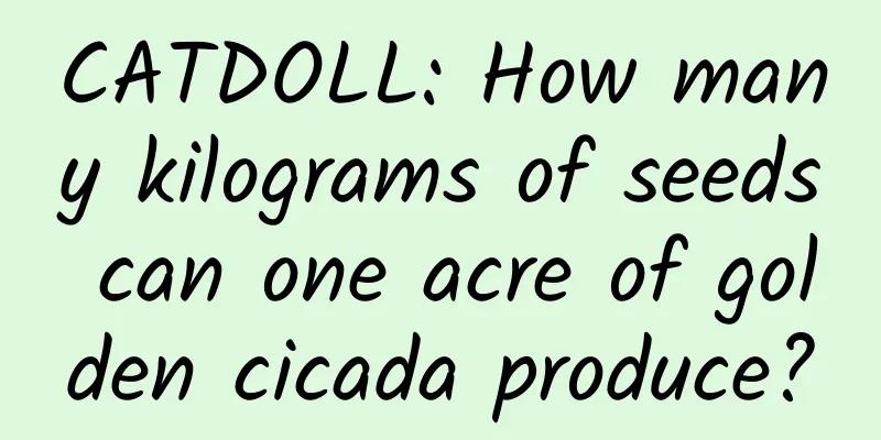 CATDOLL: How many kilograms of seeds can one acre of golden cicada produce?