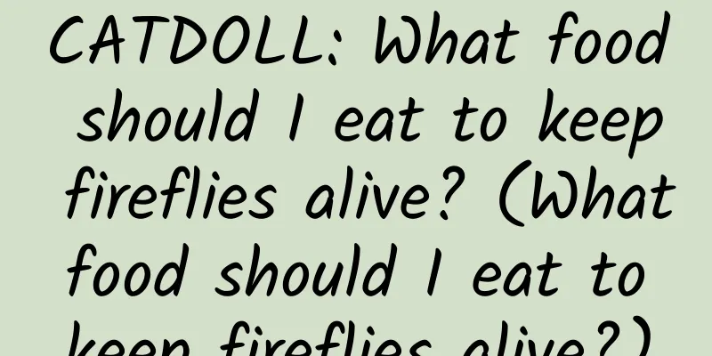 CATDOLL: What food should I eat to keep fireflies alive? (What food should I eat to keep fireflies alive?)