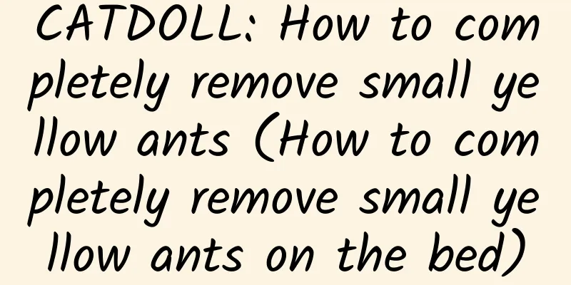 CATDOLL: How to completely remove small yellow ants (How to completely remove small yellow ants on the bed)