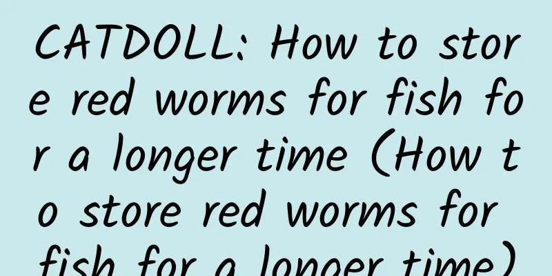 CATDOLL: How to store red worms for fish for a longer time (How to store red worms for fish for a longer time)