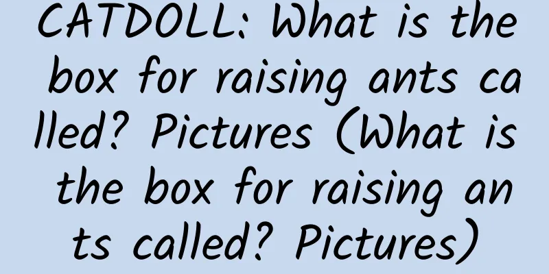 CATDOLL: What is the box for raising ants called? Pictures (What is the box for raising ants called? Pictures)