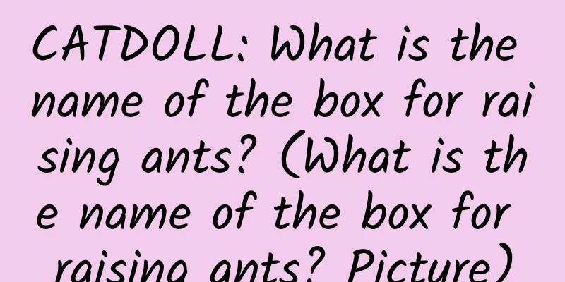 CATDOLL: What is the name of the box for raising ants? (What is the name of the box for raising ants? Picture)