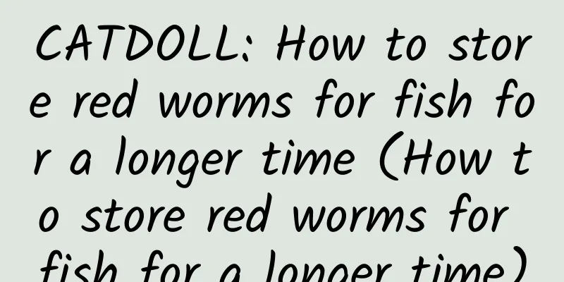 CATDOLL: How to store red worms for fish for a longer time (How to store red worms for fish for a longer time)
