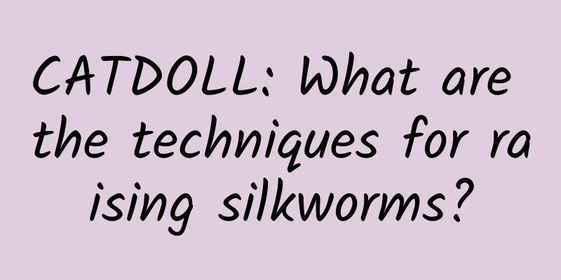 CATDOLL: What are the techniques for raising silkworms?