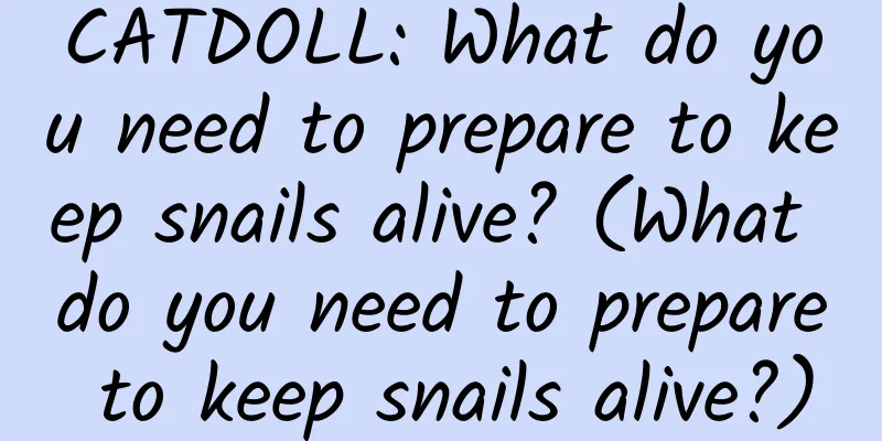 CATDOLL: What do you need to prepare to keep snails alive? (What do you need to prepare to keep snails alive?)