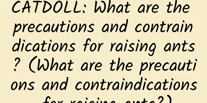 CATDOLL: What are the precautions and contraindications for raising ants? (What are the precautions and contraindications for raising ants?)