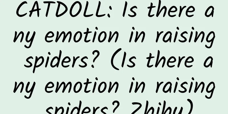 CATDOLL: Is there any emotion in raising spiders? (Is there any emotion in raising spiders? Zhihu)