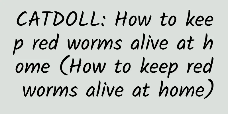 CATDOLL: How to keep red worms alive at home (How to keep red worms alive at home)