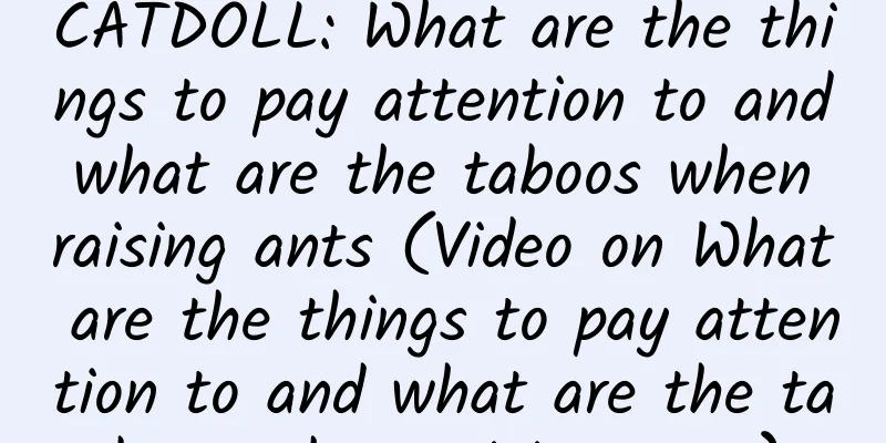 CATDOLL: What are the things to pay attention to and what are the taboos when raising ants (Video on What are the things to pay attention to and what are the taboos when raising ants)