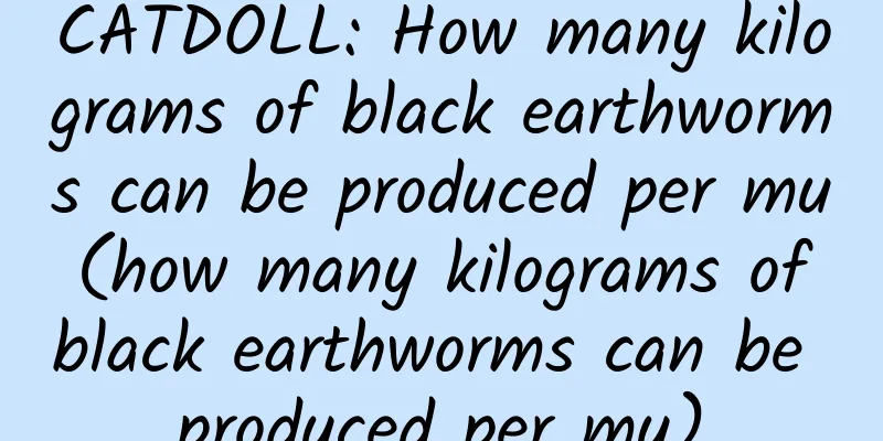 CATDOLL: How many kilograms of black earthworms can be produced per mu (how many kilograms of black earthworms can be produced per mu)