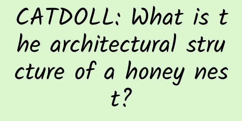 CATDOLL: What is the architectural structure of a honey nest?
