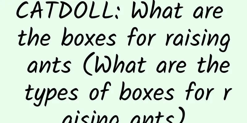CATDOLL: What are the boxes for raising ants (What are the types of boxes for raising ants)