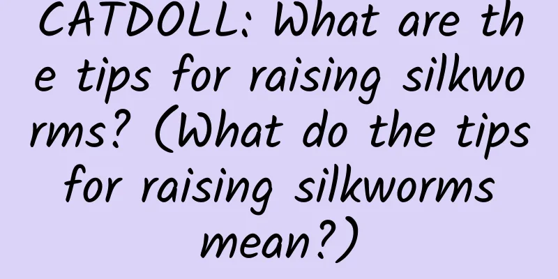 CATDOLL: What are the tips for raising silkworms? (What do the tips for raising silkworms mean?)