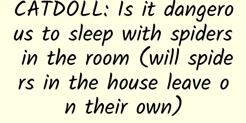 CATDOLL: Is it dangerous to sleep with spiders in the room (will spiders in the house leave on their own)
