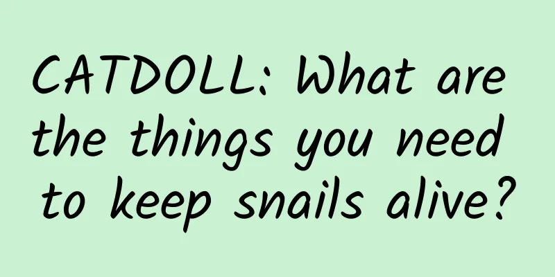 CATDOLL: What are the things you need to keep snails alive?