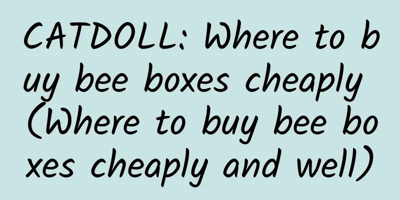 CATDOLL: Where to buy bee boxes cheaply (Where to buy bee boxes cheaply and well)