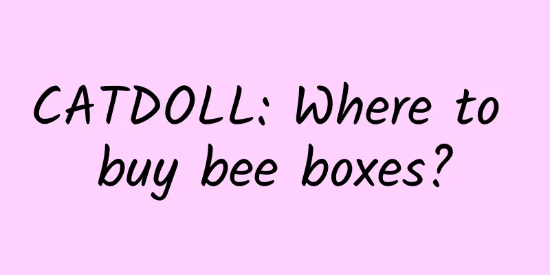 CATDOLL: Where to buy bee boxes?