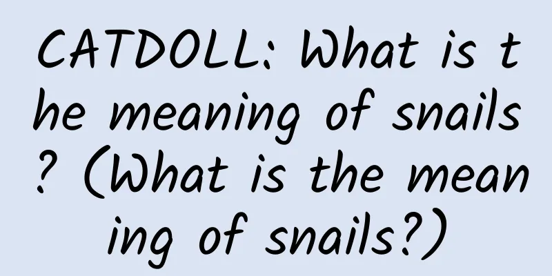 CATDOLL: What is the meaning of snails? (What is the meaning of snails?)