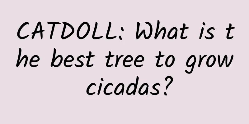 CATDOLL: What is the best tree to grow cicadas?