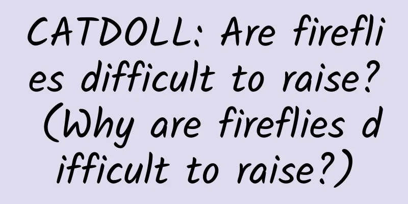 CATDOLL: Are fireflies difficult to raise? (Why are fireflies difficult to raise?)