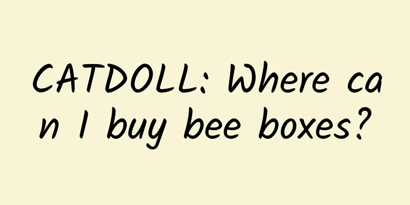 CATDOLL: Where can I buy bee boxes?
