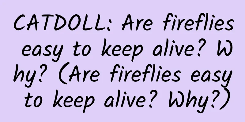 CATDOLL: Are fireflies easy to keep alive? Why? (Are fireflies easy to keep alive? Why?)