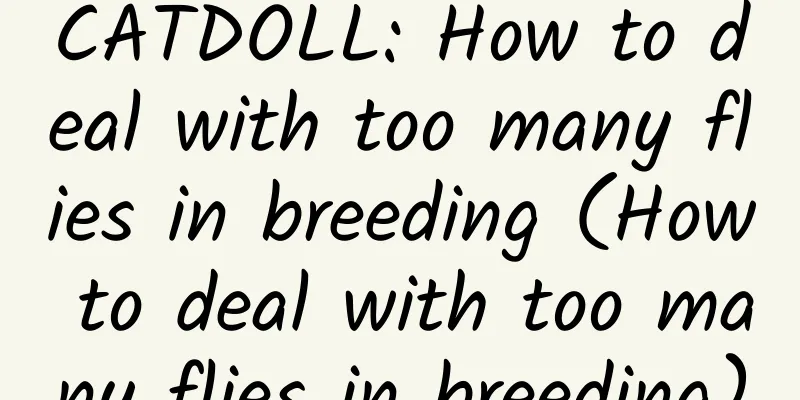 CATDOLL: How to deal with too many flies in breeding (How to deal with too many flies in breeding)