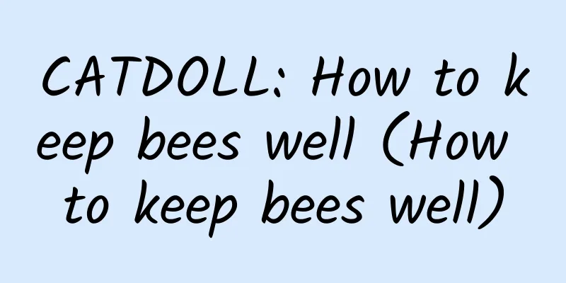 CATDOLL: How to keep bees well (How to keep bees well)