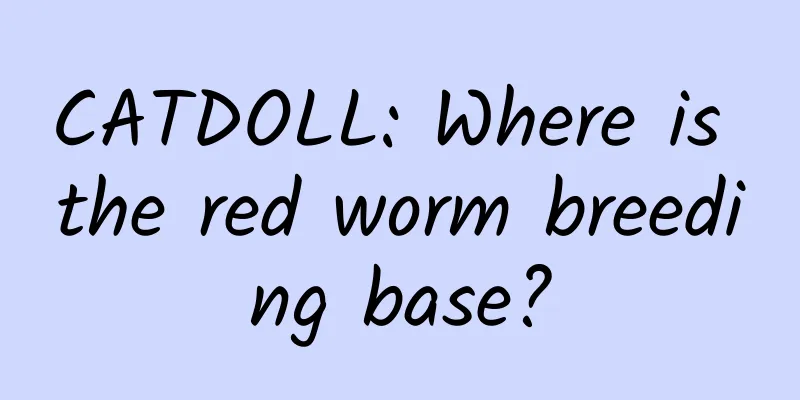 CATDOLL: Where is the red worm breeding base?
