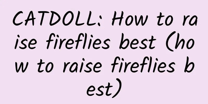 CATDOLL: How to raise fireflies best (how to raise fireflies best)