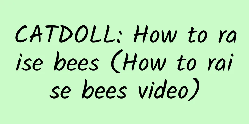 CATDOLL: How to raise bees (How to raise bees video)