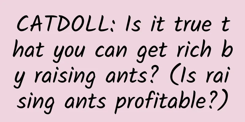 CATDOLL: Is it true that you can get rich by raising ants? (Is raising ants profitable?)