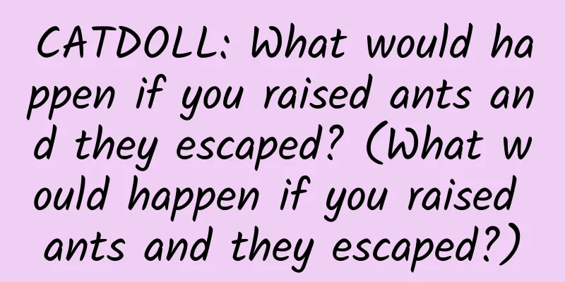 CATDOLL: What would happen if you raised ants and they escaped? (What would happen if you raised ants and they escaped?)