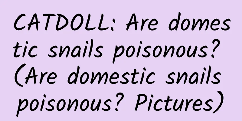 CATDOLL: Are domestic snails poisonous? (Are domestic snails poisonous? Pictures)