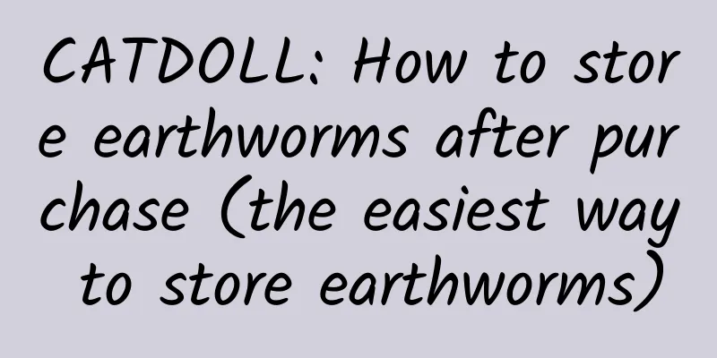 CATDOLL: How to store earthworms after purchase (the easiest way to store earthworms)