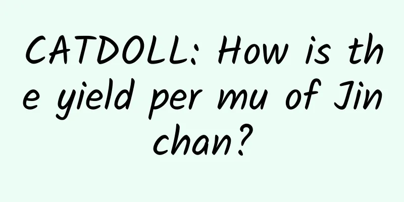 CATDOLL: How is the yield per mu of Jinchan?