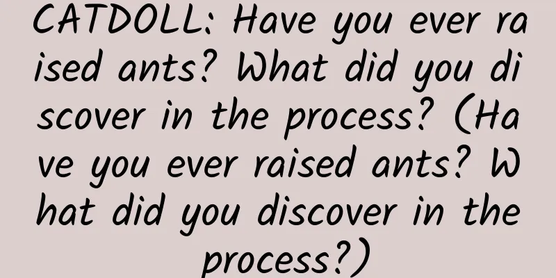 CATDOLL: Have you ever raised ants? What did you discover in the process? (Have you ever raised ants? What did you discover in the process?)