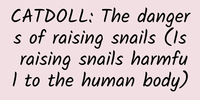 CATDOLL: The dangers of raising snails (Is raising snails harmful to the human body)