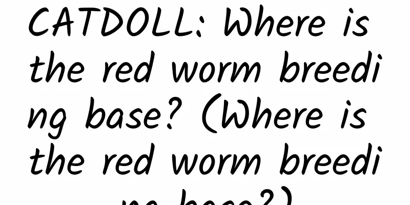 CATDOLL: Where is the red worm breeding base? (Where is the red worm breeding base?)