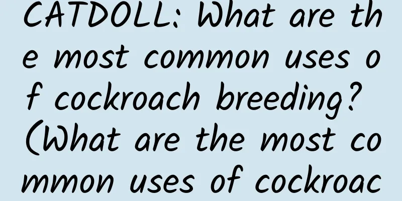 CATDOLL: What are the most common uses of cockroach breeding? (What are the most common uses of cockroach breeding?)