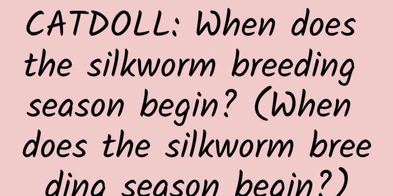 CATDOLL: When does the silkworm breeding season begin? (When does the silkworm breeding season begin?)
