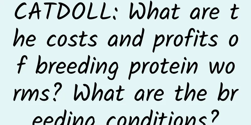 CATDOLL: What are the costs and profits of breeding protein worms? What are the breeding conditions?