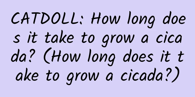 CATDOLL: How long does it take to grow a cicada? (How long does it take to grow a cicada?)