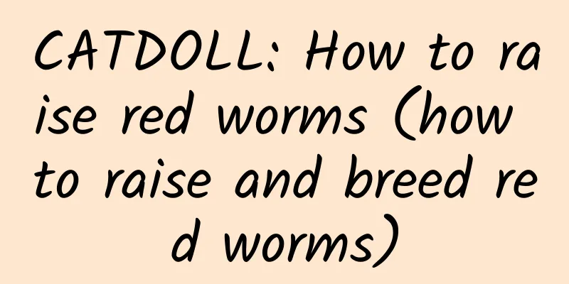 CATDOLL: How to raise red worms (how to raise and breed red worms)