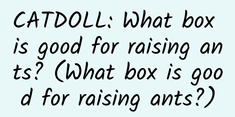 CATDOLL: What box is good for raising ants? (What box is good for raising ants?)