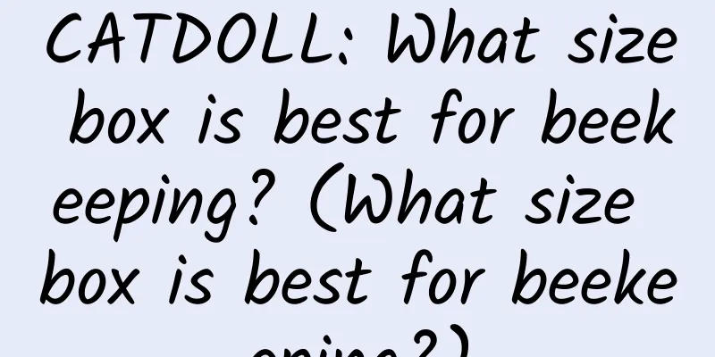 CATDOLL: What size box is best for beekeeping? (What size box is best for beekeeping?)