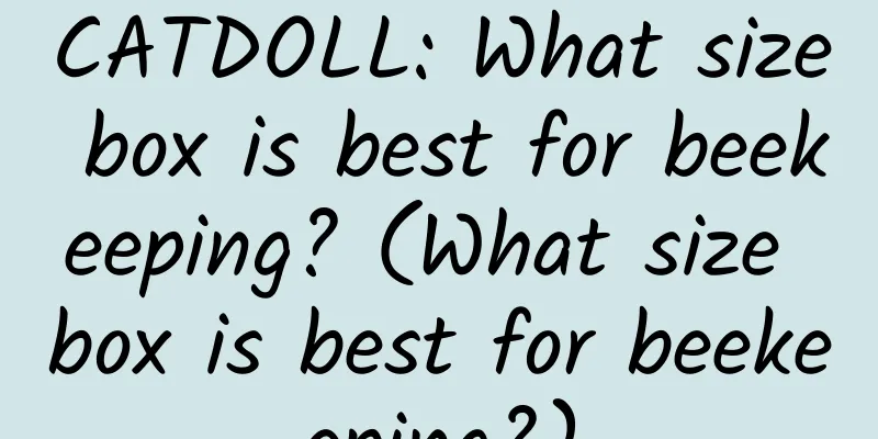CATDOLL: What size box is best for beekeeping? (What size box is best for beekeeping?)
