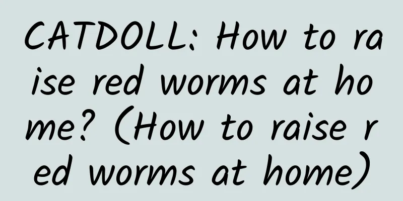 CATDOLL: How to raise red worms at home? (How to raise red worms at home)