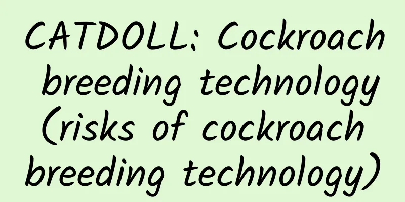 CATDOLL: Cockroach breeding technology (risks of cockroach breeding technology)